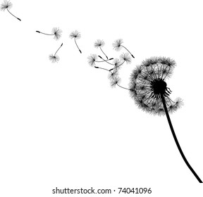 Vector silhouette graphic illustration depicting dandelion seed dispersal