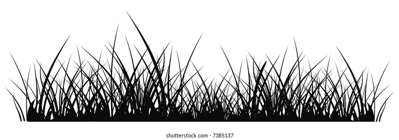 vector silhouette of grass on white background