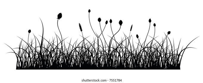 vector silhouette of grass on white background