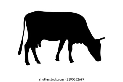 Vector silhouette of a grazing cow.