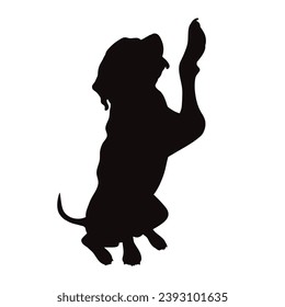 Vector silhouette of Great Dane on white background. Symbol of pet and breed.