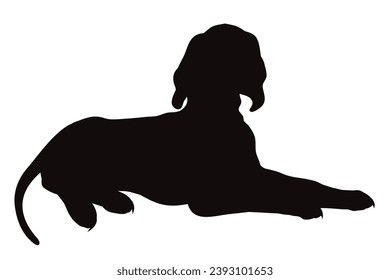 Vector silhouette of Great Dane on white background. Symbol of pet and breed.