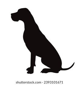 Vector silhouette of Great Dane on white background. Symbol of pet and breed.