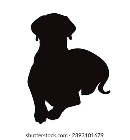 Vector silhouette of Great Dane on white background. Symbol of pet and breed.