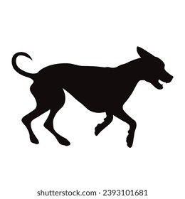 Vector silhouette of Great Dane on white background. Symbol of pet and breed.