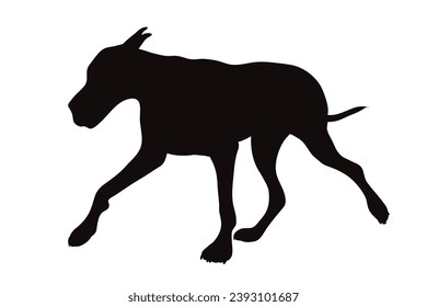 Vector silhouette of Great Dane on white background. Symbol of pet and breed.