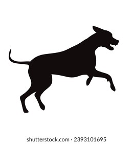 Vector silhouette of Great Dane on white background. Symbol of pet and breed.