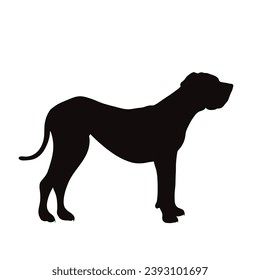 Vector silhouette of Great Dane on white background. Symbol of pet and breed.