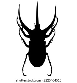 Vector silhouette of a great horn beetle or megasoma actaeo on a white background. The male insect is black.