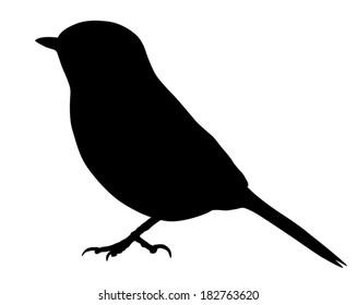 Vector silhouette of the Great Tit.