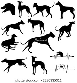 Vector Silhouette of a greyhound on a White Background,Set of illustrated silhouettes of greyhound dogs running.