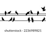 Vector silhouette of a group of doves sitting on a wire on a white background. Shadow of a black dove perched.