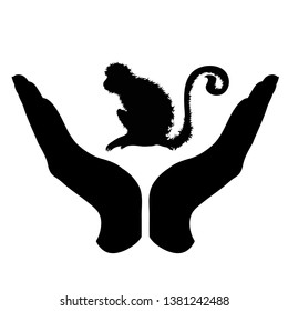 Vector silhouette of a hand in a defensive gesture protecting a monkey. Symbol of animal, wild,africa, nature, humanity, care, protection, veterinary.