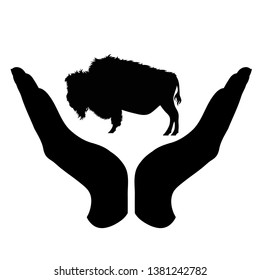 Vector silhouette of a hand in a defensive gesture protecting a buffalo. Symbol of animal, wild,nature, humanity, care, protection.