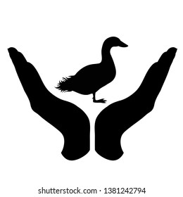 Vector silhouette of a hand in a defensive gesture protecting a duck. Symbol of animal, farm, poultry, humanity, care, protection.