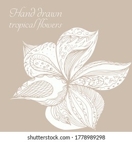 Silueta vectorial de flor tropical abstracta dibujada a mano. Ilustración floral en estilo de esbozo. Fondo de verano con flor tropical para viajar o camiseta. Aislado