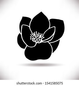 Vector silhouette of hand drawn magnolia flower isolated on white background. Spring botanical design element. Perfect for print, banner,poster, greeting card, wedding invitations,web sites,apps 