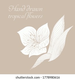 Vector silhouette of hand drawn tropical flowers. Floral illustration in sketch style. Summer background with tropical flowers for travel or t shirt. Isolated