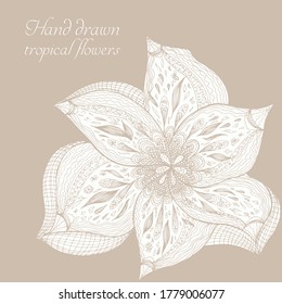 Vector silhouette of hand drawn tropical flower. Floral illustration in sketch style. Summer background with tropical flower for travel or t shirt. Isolated