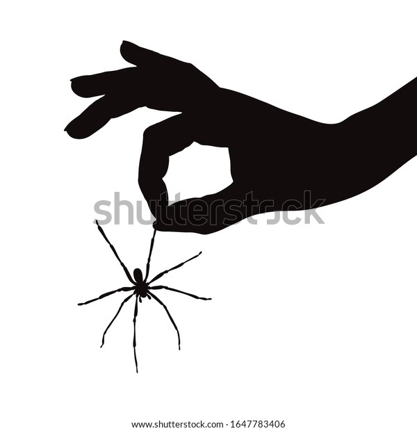 白い背景にクモを捕まえる手のベクターシルエット 厄介な虫の象徴 のベクター画像素材 ロイヤリティフリー