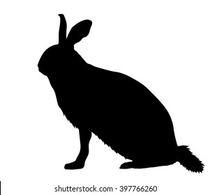 Vector Silhouette Of The Hare.