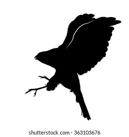 Vector silhouette of the Hawk in attack pose.