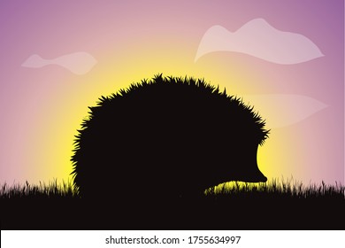 Vector silhouette of hedgehog in the grass at sunset. Symbol of nature.