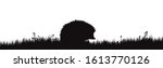 Vector silhouette of hedgehog on meadow on white background. Symbol of forest animal in the grass.