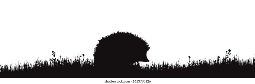 Vector silhouette of hedgehog on meadow on white background. Symbol of forest animal in the grass.