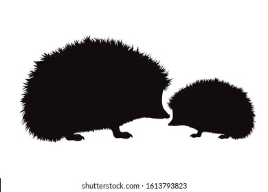 Vector silhouette of hedgehog on white background. Symbol of forest´s animal. Mother and baby stay together.