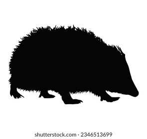 Vector silhouette of hedgehog on white background.
