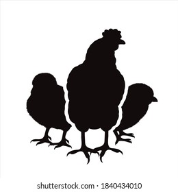 Vector silhouette of hen with chickens on white background. Symbol of farm animal and poultry.