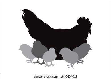 Silueta vectorial de gallina con pollos de fondo blanco. Símbolo de animal de granja y aves de corral.