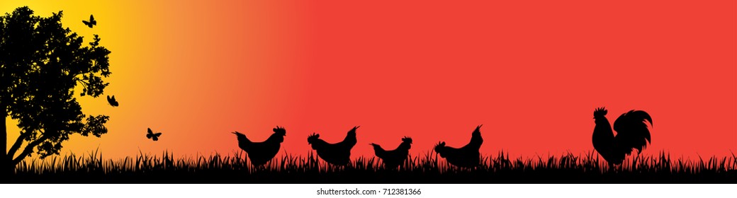 Vector silhouette of hen in nature at sunset.