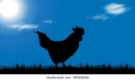 Vector silhouette of a hen on meadow at sunny day.