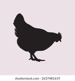 vector silhouette of hen on pink background