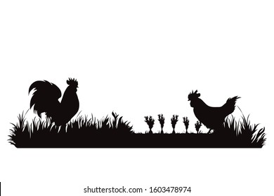 Vector silhouette of hen and rooster eat carrot on garden. Symbol of animal, field, farm, destroy, corp, pest.