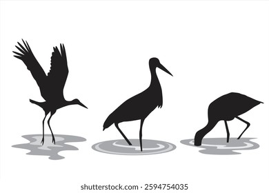 Vector silhouette of a heron. Illustration of a flock of herons in the water looking for food. Illustration of living creatures in the wild