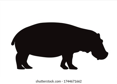 Vector silhouette of hippopotamus on white background. Symbol of animal.