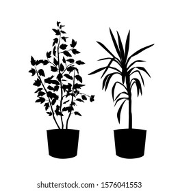  Vector silhouette of a home tree plant in a pot, black color isolated on a white background