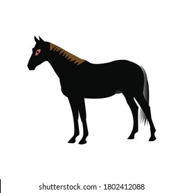 Vector silhouette of a  horse