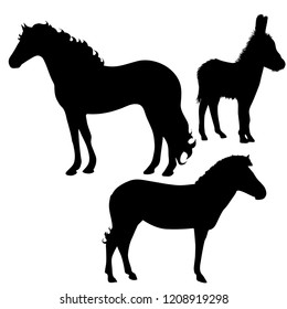 Vector silhouette of horse, donkey and zebra on white background.