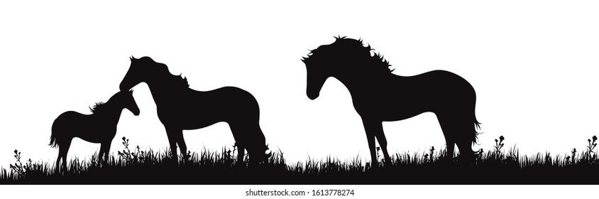 Vector silhouette of horse family on meadow on white background. Symbol of farm animals in the grass.