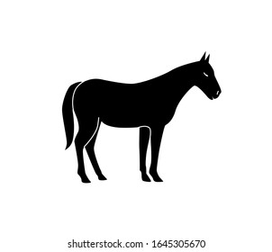 Vector silhouette of a horse. Isolated white background. For coloring, or packaging design, or logo.