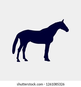 Vector silhouette of a horse on a white background. vector