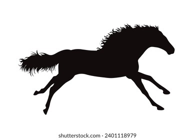 Silueta vectorial de caballo sobre fondo blanco. Símbolo de semental y equitación.