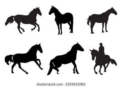 Silueta vectorial de equitación.