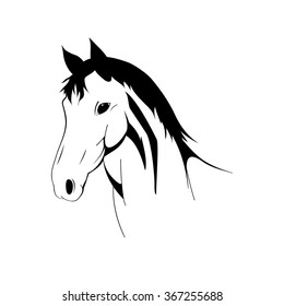 Line Drawing Horses Head On White Stock Vector (Royalty Free) 148618283