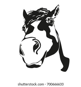 Vector silhouette of a horse's head