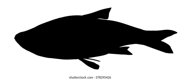 Vector silhouette of Ide (fish).